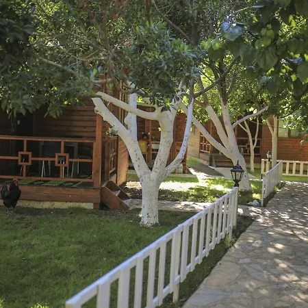 Camping Mustafa Nacakci Cirali