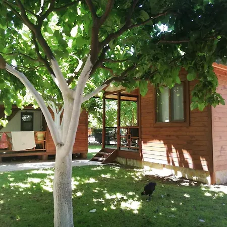 Camping Mustafa Nacakci Country house Cirali